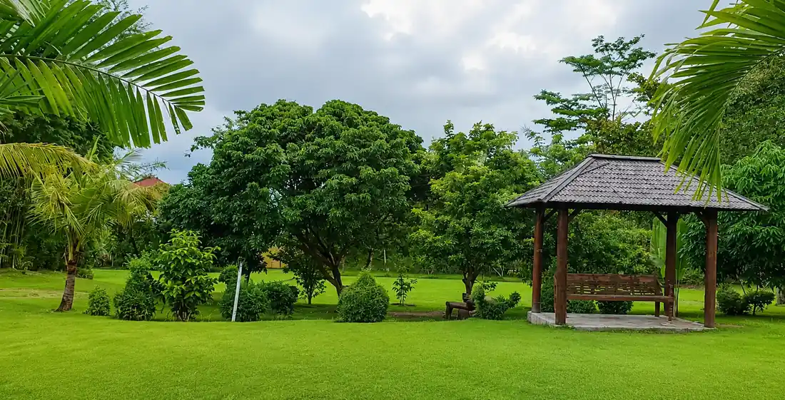 Halaman rumput taman dengan gazebo teduh